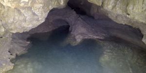, Krátka správa z Brestovskej jaskyne o nových perspektívach ?